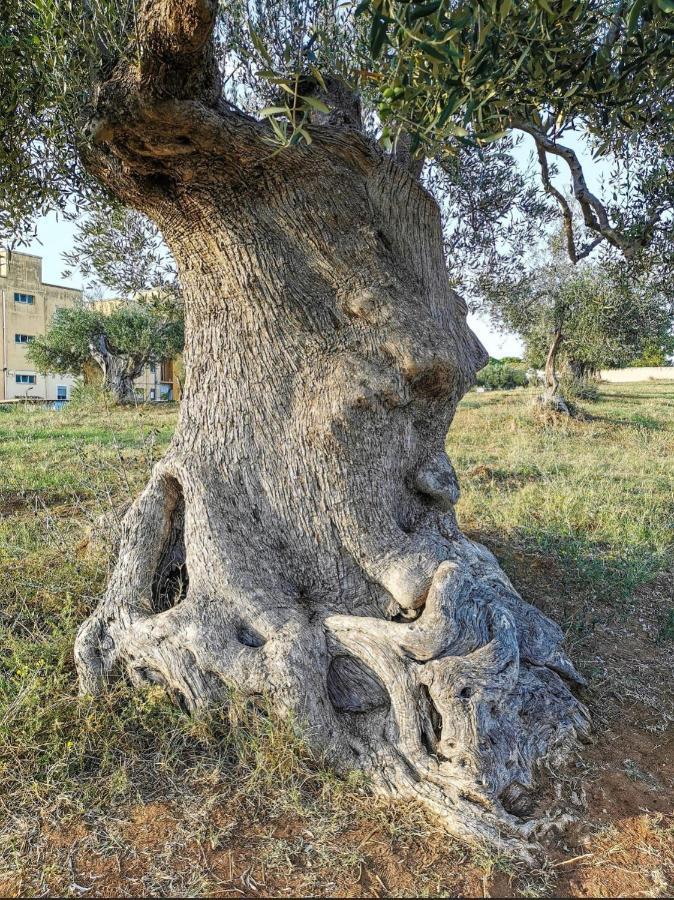 Dimora D'Errico - Monolocale Nel Centro Storico Leilighet Carovigno Eksteriør bilde